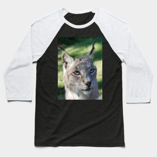 Lynx Baseball T-Shirt